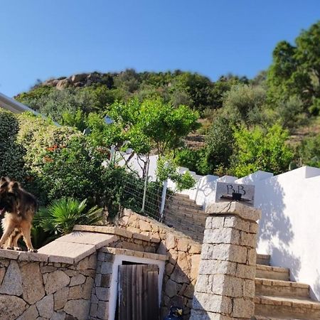 Casa L'Ulivariu Affittacamere 산테오도로 외부 사진