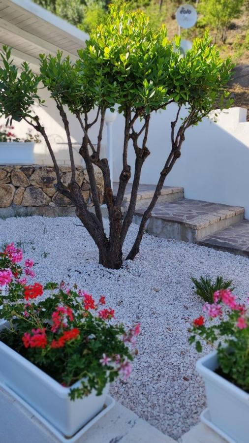 Casa L'Ulivariu Affittacamere 산테오도로 외부 사진