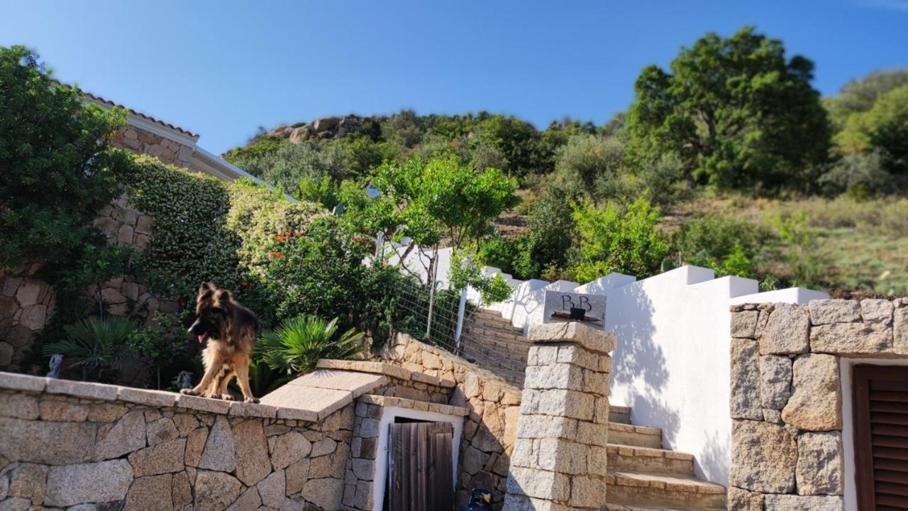 Casa L'Ulivariu Affittacamere 산테오도로 외부 사진
