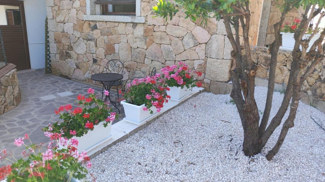 Casa L'Ulivariu Affittacamere 산테오도로 외부 사진