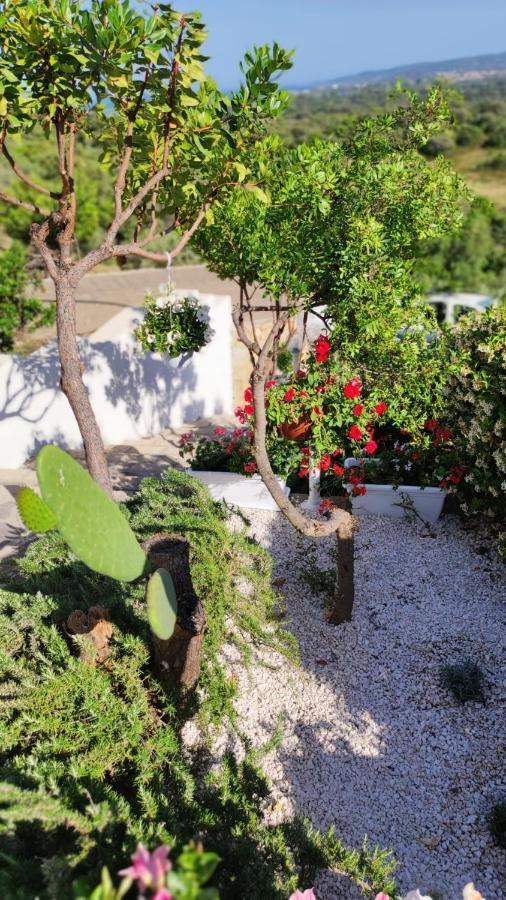 Casa L'Ulivariu Affittacamere 산테오도로 외부 사진