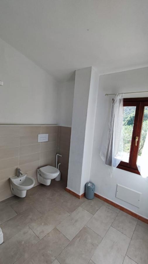 Casa L'Ulivariu Affittacamere 산테오도로 외부 사진