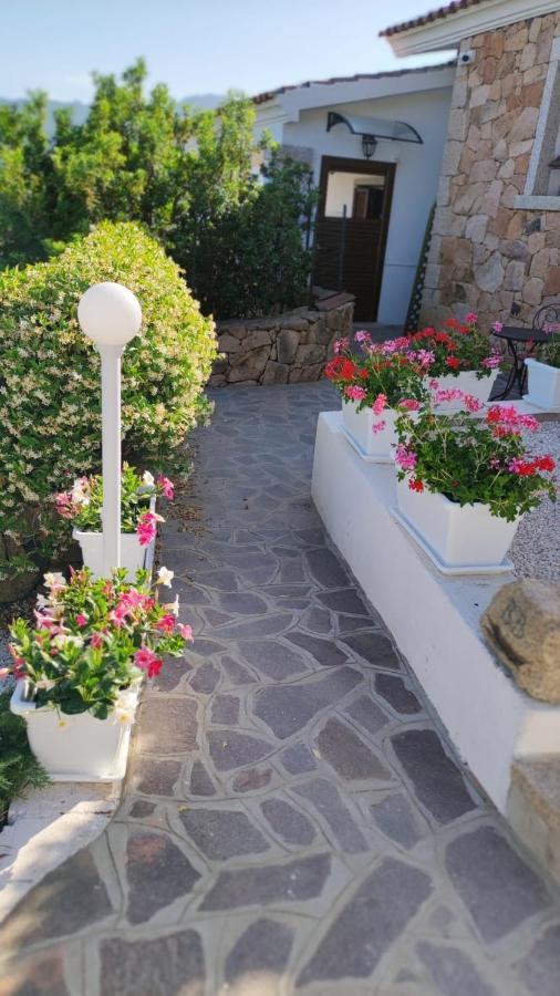Casa L'Ulivariu Affittacamere 산테오도로 외부 사진