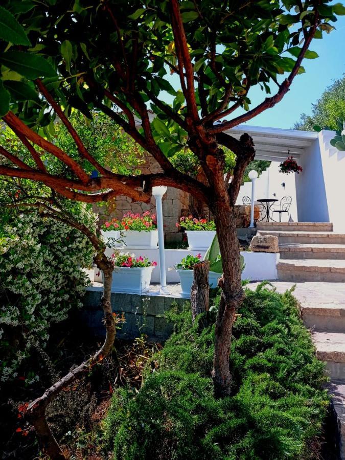 Casa L'Ulivariu Affittacamere 산테오도로 외부 사진