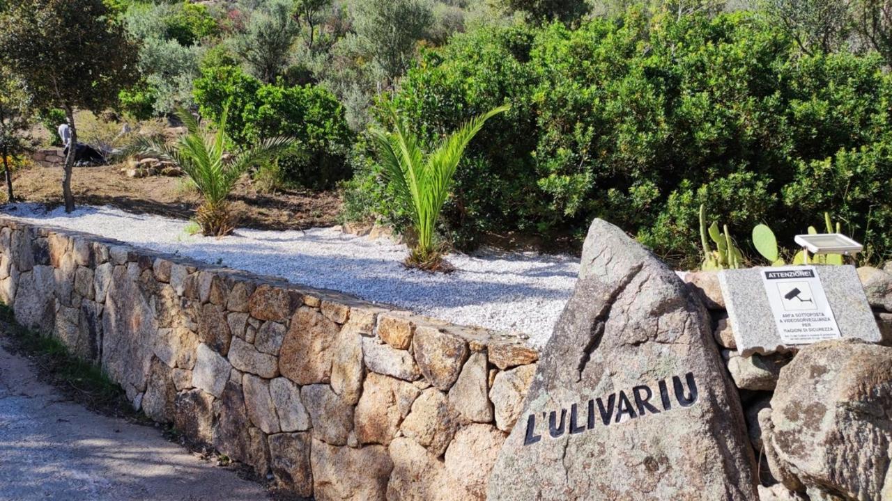 Casa L'Ulivariu Affittacamere 산테오도로 외부 사진