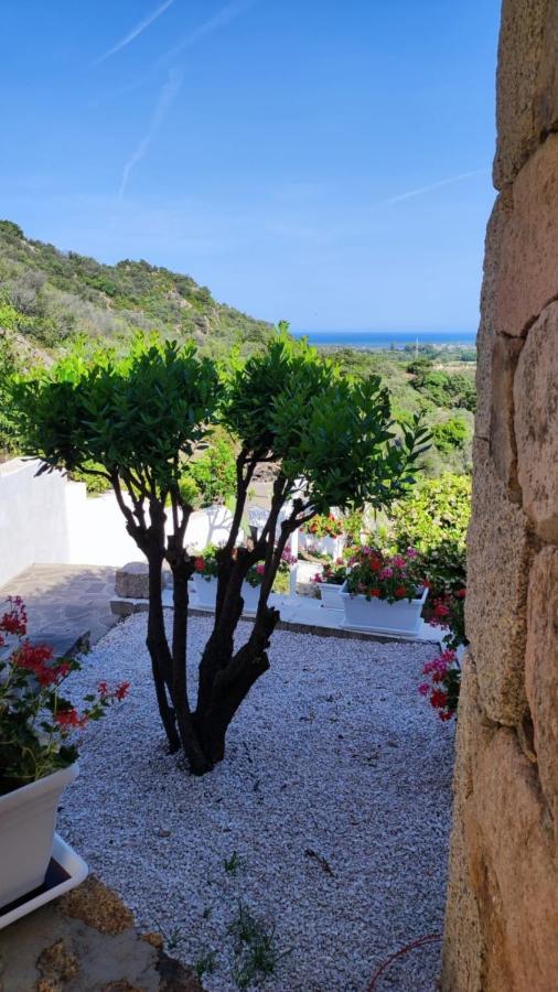 Casa L'Ulivariu Affittacamere 산테오도로 외부 사진
