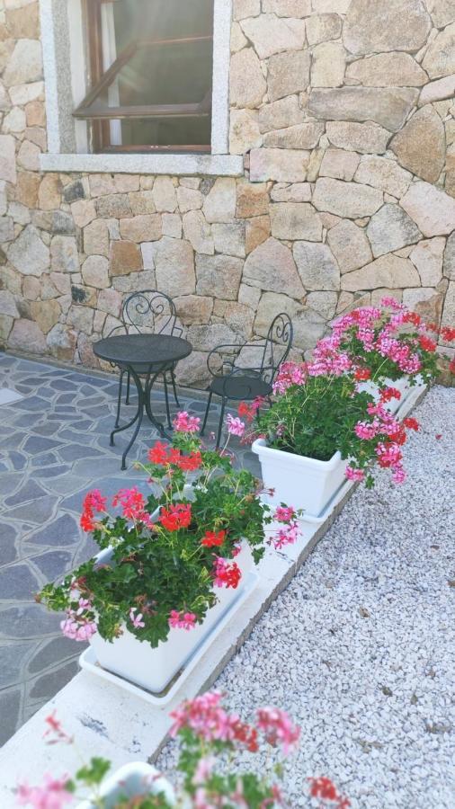 Casa L'Ulivariu Affittacamere 산테오도로 외부 사진
