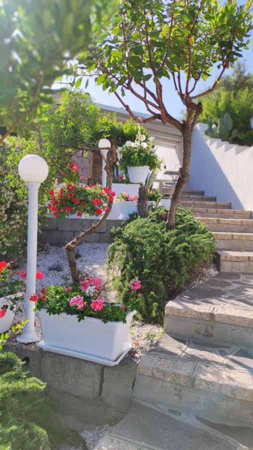 Casa L'Ulivariu Affittacamere 산테오도로 외부 사진